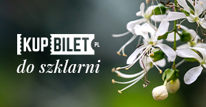 Kup bilet online